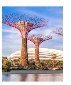 Supertree Grove at an iconic urban park in Singapore