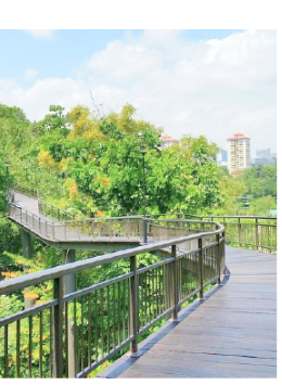 Landscaped walkway through a technology campus in Singapore